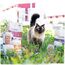VenandiAnimal - Premium Trockenfutter für Katzen, Probierpaket 1, 6 x 0,3 kg (6er Pack), getreidefrei mit viel frischem Fleisch und Fisch