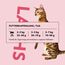 PrimaCat - Trockenfutter für ausgewachsene Hauskatzen, Geschmacksrichtung Lachs, 400 g