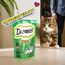 DREAMIES Katzensnacks - 6x60g - mit Katzenminze - Traumhaft knusprige Katzen Leckerlies mit zarter Füllung