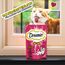DREAMIES Katzensnacks - 6x60g - mit Rind - Traumhaft knusprige Katzen Leckerlies mit zarter Füllung