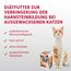 animonda INTEGRA PROTECT Urinary Oxal mit Rind (6 x 100 g), Katzen Diätfutter bei Harnsteinen, Katzenfutter verringert die Bildung von Oxalsteinen, Nassfutter für Katzen ohne Getreide