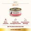 Almo Nature HFC Jelly - Nassfutter für ausgewachsene Katzen - Lachs & Huhn - Human Grade, Glutenfrei - 6 x 70g