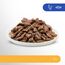 Sensitive 1+ Katzennassfutter mit Lachs & Huhn in Sauce – Katzenfutter Nassfutter13 x 4 Portionsbeutel à 85g