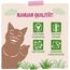 MjAMjAM - Premium Nassfutter für Katzen - Quetschie - saftiges Schwein PUR, 12er Pack (12 x 125g), getreidefrei mit extra viel Fleisch