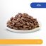 PERFECT FIT™ Katze Portionsbeutel Sensitive mit Lachs 12 x 85g