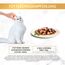 Gourmet Gold Zarte Häppchen in Sauce Katzenfutter nass, mit Huhn und Leber, 12er Pack (12 x 85g)