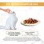Gourmet Gold Zarte Häppchen in Sauce Katzenfutter nass, Sorten-Mix, 12er Pack (12 x 8 Dosen à 85g)