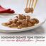 Gourmet Mon Petit Intense Katzenfutter nass, Fisch-Variationen, 8er Pack (8 x 6 Beutel à 50g)