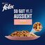 Felix So gut wie es aussieht Katzenfutter nass in Gelee, mit Lachs, 26er Pack (26 x 85g)