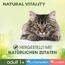 PERFECT FIT Adult 1+ Premium Katzenfutter nass - 36x50g Portionsbeutel - mit Hochseefisch und Lachs - Nassfutter für Katzen - ohne Getreide