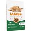 IAMS Katzenfutter trocken mit Lamm - Trockenfutter für Katzen im Alter von 1-6 Jahren, 10 kg
