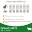 IAMS Katzenfutter trocken mit Lamm - Trockenfutter für Katzen im Alter von 1-6 Jahren, 3 kg