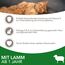 IAMS Katzenfutter trocken mit Lamm - Trockenfutter für Katzen im Alter von 1-6 Jahren, 3 kg