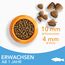IAMS for Vitality Katzenfutter trocken mit Fisch - Trockenfutter für Katzen im Alter von 1-6 Jahren, 1,5 kg