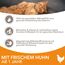 IAMS for Vitality Katzenfutter trocken Huhn - Trockenfutter für Katzen im Alter von 1-6 Jahren, 1,5 kg