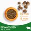 IAMS Katzenfutter trocken mit Lamm - Trockenfutter für Katzen im Alter von 1-6 Jahren, 1,5 kg