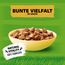 Kitekat Katzenfutter Nassfutter Bunte Vielfalt in Sauce – Feuchtfutter in 48 Portionsbeuteln – 2er Pack (2 x 24 Portionsbeutel à 85g)