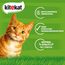 Kitekat Katzenfutter Nassfutter Bunte Vielfalt in Sauce – Feuchtfutter in 48 Portionsbeuteln – 2er Pack (2 x 24 Portionsbeutel à 85g)