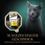 Sheba Schale Nassfutter für Katzen Selection in Sauce mit Huhn und Truthahn 2 x 11 x 85g