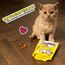 Dreamies Katzensnacks mit Käsegeschmack, 6er Pack, 6x60g – Außen knusprige & innen cremige Katzenleckerlis