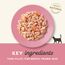 Applaws 100% natürliches Premium-Nassfutter für ausgewachsene Katzen - Thunfischfilet und Garnelen in Brühe - 24 x 70g Dosen