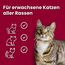 animonda vom Feinsten Senior Katzenfutter nass Nassfutter mit Rind (32x 100g), Katzenfutter ab 7 Jahren, ohne Getreide ohne Zucker, mit frischen, fleischigen Zutaten