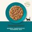Applaws 100% natürliches Premium-Nassfutter für Katzen, Meeresfisch in Brühe - Packung mit 24 x 70g Dosen
