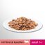 Perfect Fit Katzenfutter Nassfutter Adult 1+ mit Rind & Karotten in Sauce, 12 Portionsbeutel (12 x 85g)