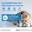 Wellness CORE Ocean 300g, Lachs & Thunfisch – Katzenfutter Trocken für ausgewachsene Katzen, getreidefrei, natürlich, hypoallergen, proteinreich, unterstützt gesunde Haut und glänzendes Fell