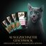 Sheba Selection in Sauce Katzennassfutter – Feine Vielfalt (MSC) – Hochwertiges Feuchtfutter in 48 Portionsbeuteln für Katzen – Katzenfutter – 4er Pack (4 x 12 Portionsbeutel à 85g)