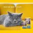 JOSERA Léger (1 x 2 kg) | Adult | Premium Trockenfutter für ausgewachsene sterilisierte oder übergewichtige Katzen | Geflügel | wenig Fett & viel Protein | weizenfrei | Katzenfutter | 1er Pack