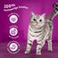Whiskas Senior 11+ Katzennassfutter Geflügel Auswahl in Gelee, 48 Portionsbeutel, 12x85g (8er Pack) – Hochwertiges Katzenfutter nass, für Katzen ab dem 11. Lebensjahr