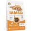 IAMS Junior Katzenfutter trocken mit Huhn - Trockenfutter für Kitten im Alter von 1-12 Monaten, 1,5 kg
