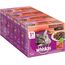 Whiskas 1+ Katzennassfutter – Klassische Auswahl in Sauce – Hochwertiges Nassfutter in 48 Portionsbeuteln für eine glückliche Katze ab 1 Jahr – Katzenfutter – 4er Pack (4 x 12 Portionsbeutel à 100g)