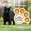 IAMS Naturally Katzenfutter Nass in Sauce - hochwertiges Nassfutter mit Fisch für Erwachsene Katzen, Sea Collection, 12 x 85 g