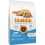 IAMS for Vitality Junior Katzenfutter mit Fisch - Trockenfutter für Kitten im Alter von 1-12 Monaten, 10 kg