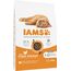 IAMS Junior Katzenfutter trocken mit Huhn - Trockenfutter für Kitten im Alter von 1-12 Monaten, 10 kg
