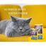 JOSERA Léger (1 x 2 kg) | Adult | Premium Trockenfutter für ausgewachsene sterilisierte oder übergewichtige Katzen | Geflügel | wenig Fett & viel Protein | weizenfrei | Katzenfutter | 1er Pack