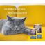 JOSERA Léger (1 x 400 g) | Adult | Premium Trockenfutter für ausgewachsene sterilisierte oder übergewichtige Katzen | Geflügel | wenig Fett & viel Protein | weizenfrei | Katzenfutter | 1er Pack