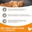 IAMS Junior Katzenfutter trocken mit Huhn - Trockenfutter für Kitten im Alter von 1-12 Monaten, 10 kg