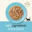 Applaws Premium Natural Katzenfutter Nass, Thunfischfilet mit Seebrasse in Brühe 70g Portionsbeutel (12x70g )