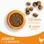IAMS Junior Katzenfutter trocken mit Huhn - Trockenfutter für Kitten im Alter von 1-12 Monaten, 1,5 kg