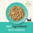 Applaws Premium Natural Katzenfutter Nass, Thunfischfilet mit Sardellen in Brühe 70g Portionsbeutel (12x70g )