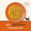 Applaws Premium Natural Katzenfutter Nass, Hühnerbrust und Kürbis in Brühe 70g Portionsbeutel (12x70g )