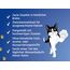 Felix Soup Tender Strips Suppe für Katzen, 1 Packung (6 x 48g) (Packung mit 10)