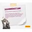 JOSERA Senior (1 x 10 kg) | Senior | Premium Trockenfutter für ältere Katzen oder Katzen mit Niereninsuffizienz | Geflügel & Reis | leicht verdaulich | getreidefrei | Katzenfutter | 1er Pack