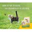 JOSERA Kitten grainfree (1 x 2 kg) | Kitten | Premium Trockenfutter für heranwachsende Katzen sowie Katzen-Mütter in der Säugezeit | Geflügel & Lachsöl | getreidefrei | Katzenfutter | 2er Pack