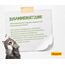 JOSERA Kitten grainfree (1 x 400 g) | getreidefreies Katzenfutter mit Lachsöl | Super Premium Trockenfutter für wachsende Katzen | 2er Pack