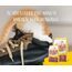 JOSERA Kitten (1 x 400 g) | Kitten | Premium Trockenfutter für heranwachsende Katzen & Katzen-Mütter in der Säugezeit | Lachs & Geflügel | leicht verdaulich | weizefrei | Katzenfutter | 1er Pack