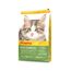 JOSERA Kitten grainfree (1 x 10 kg) | Kitten | Premium Trockenfutter für heranwachsende Katzen sowie Katzen-Mütter in der Säugezeit | Geflügel & Lachsöl | getreidefrei | Katzenfutter | 1er Pack